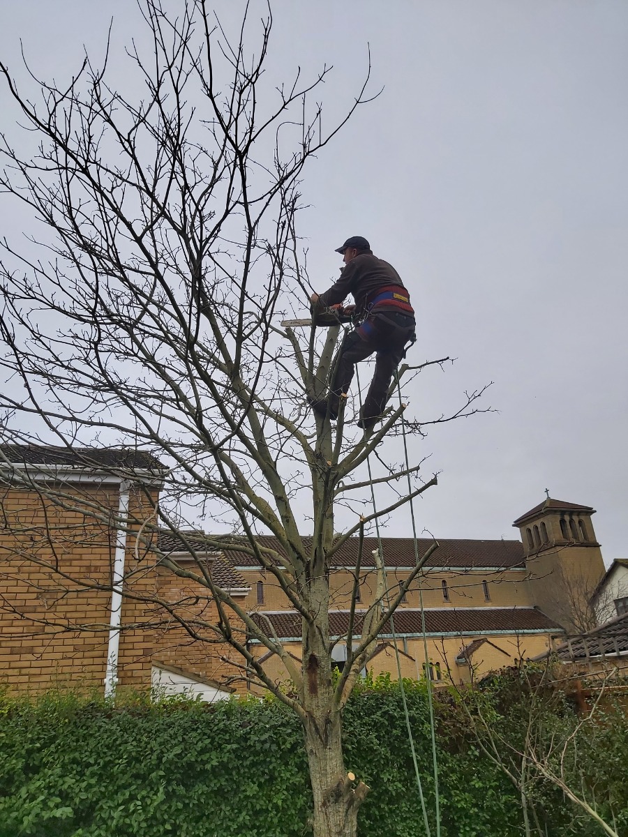 Gardener: Image 9